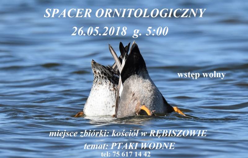 Spacer z Ornitologiem - 26.05 