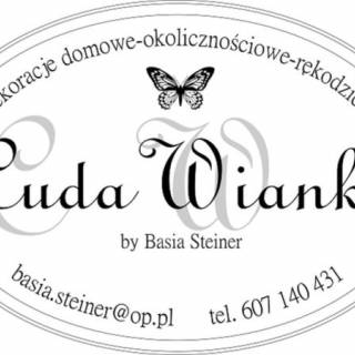 Cuda Wianki - Basia Steiner