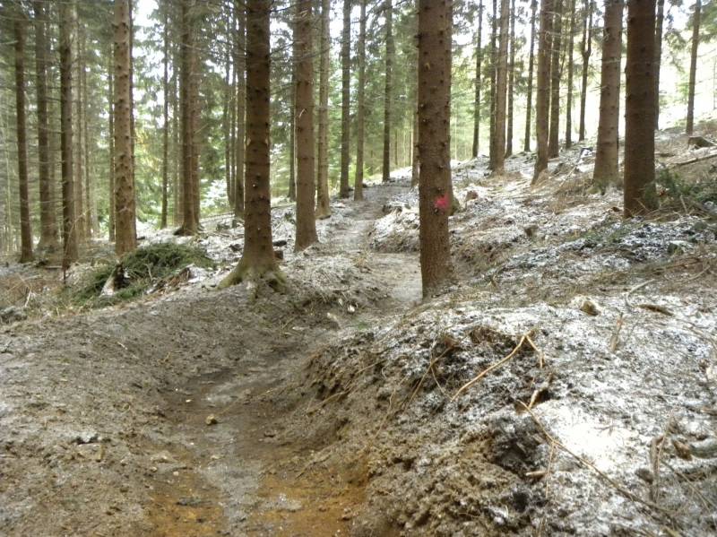  The Czech-Polish Bike Tracks at the Foot of Mount Smrek (Czech: Smrk) – second phase 