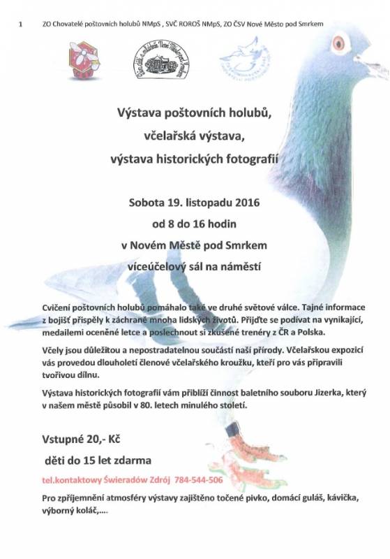 Wystawa gołębi pocztowych - Nove Mesto pod Smrkem