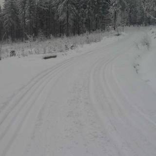 Szlaki biegowe na Zajęczniku - otwarte                                                                                          