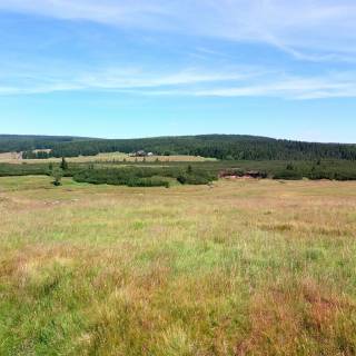 Izerskie Peat Bog Natural Reserve