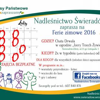 Ferie dla dzieci w Chacie Drwala - Nadleśnictwo Świeradów