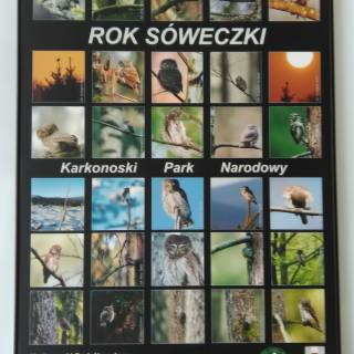 Wystawa  Rok Sóweczki