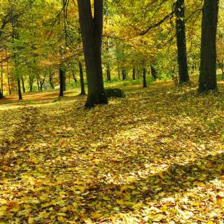 Lubań - Park na Kamiennej Górze