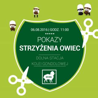 Pokazy strzyżenia owiec