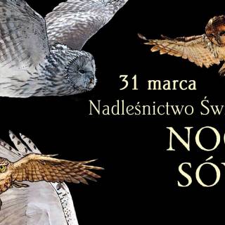  Noc Sów w Nadleśnictwie Świeradów