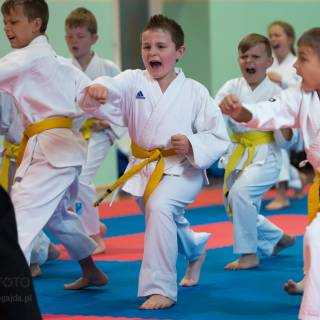 XIV TURNIEJ SAMURAJA W KARATE  -  PISARZOWICE 2017 