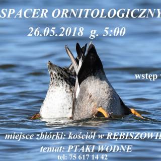 Spacer z Ornitologiem - 26.05 