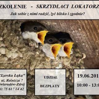 Szkolenie 19.06  - &quot;Skrzydlaci współlokatorzy&quot; - bezpłatne