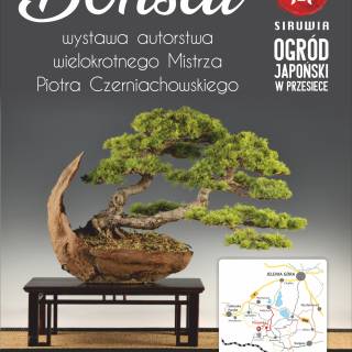 WYSTAWA BONSAI 4-12 SIERPNIEŃ