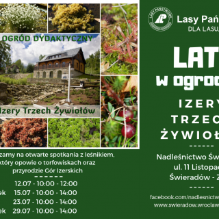 LATO W OGRODZIE - IZERY TRZECH ŻYWIOŁÓW