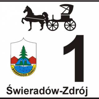 14.07.2009 - Spotkanie właścicieli dorożek