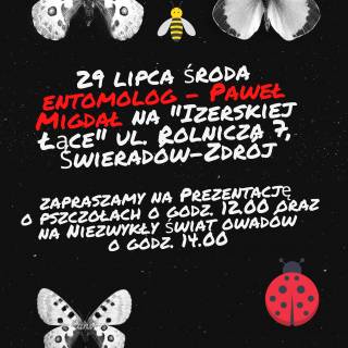 Entomolog na &quot;Izerskiej Łące&quot;