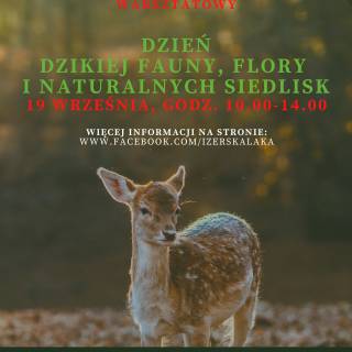 &quot;Izerska Łąka&quot; zaprasza na warsztaty