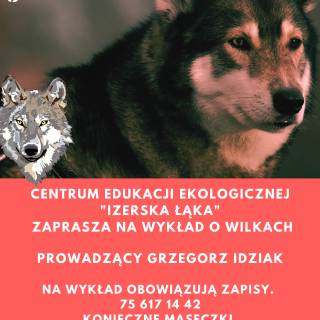 &quot;Izerska Łąka&quot; zaprasza na wykład o wilkach