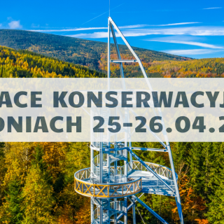 WIEŻA WIDOKOWA NA MŁYNICY - W DNIACH 25-26.04 PRACE KONSERWACYJNE