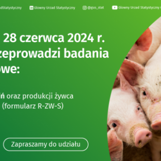 RZWS - BADANIE POGŁOWIA ŚWIŃ ORAZ PRODUKCJI ŻYWCA WIEPRZOWEGO