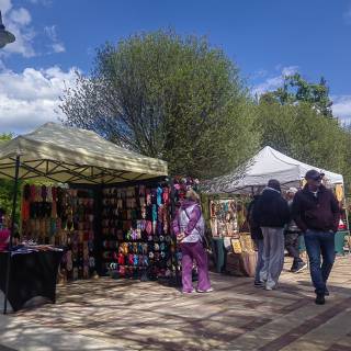 DNI KWITNĄCYCH RODODENDRONÓW 24-25.05.2025